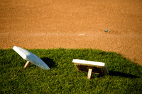 Tending the Field