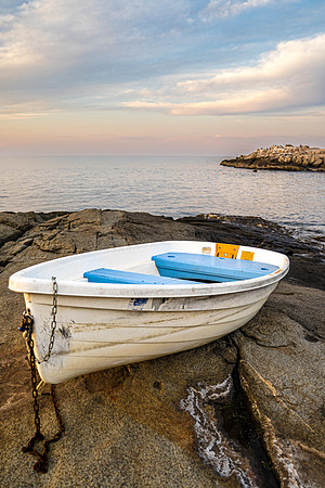Boat Above the Tide
