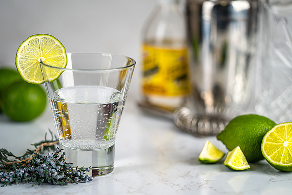 Deconstructed Gin and Tonic