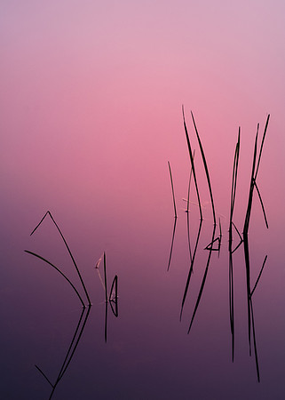 Dawn in Silhouette