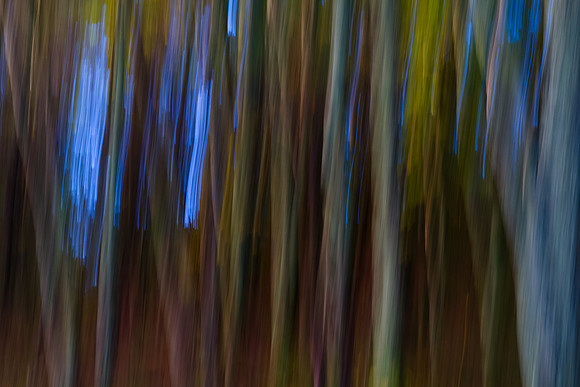 Abstract Trees