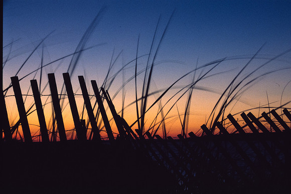 Lines in the Sky