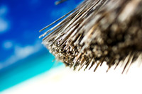 Colors of the Beach